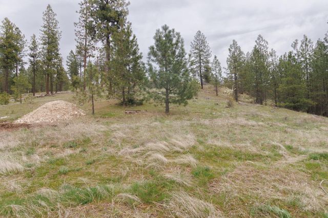 TBD N Corkscrew Canyon Rd, Tumtum, WA 99013