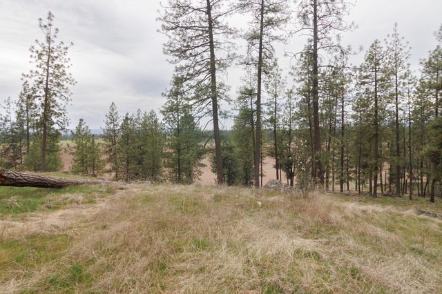 TBD N Corkscrew Canyon Rd, Tumtum, WA 99013