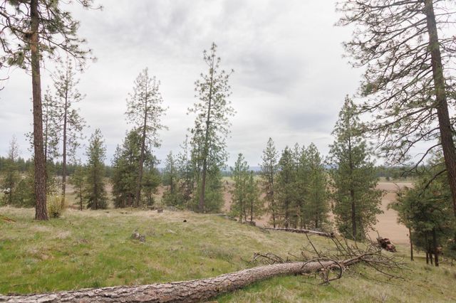 TBD N Corkscrew Canyon Rd, Tumtum, WA 99013