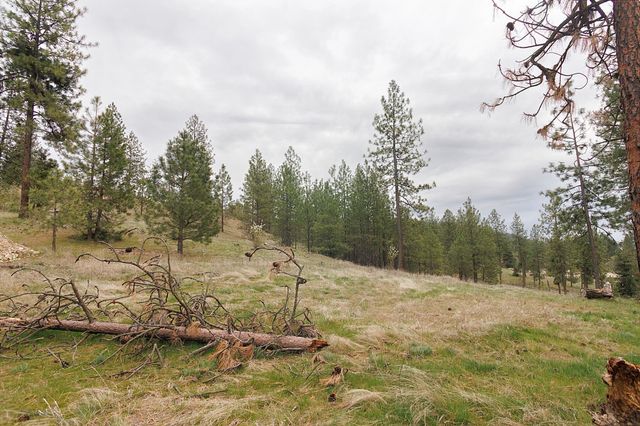 TBD N Corkscrew Canyon Rd, Tumtum, WA 99013
