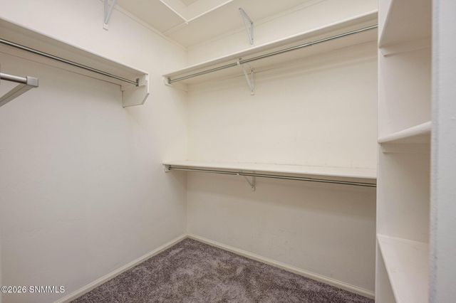 3811 Ringneck Drive, Las Cruces, NM 88001