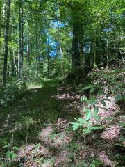 Tbd Hurricane Road, Jonesville, VA 24263