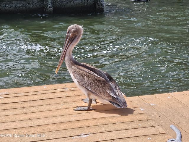 540 S Banana River Drive 103, Merritt Island, FL 32952