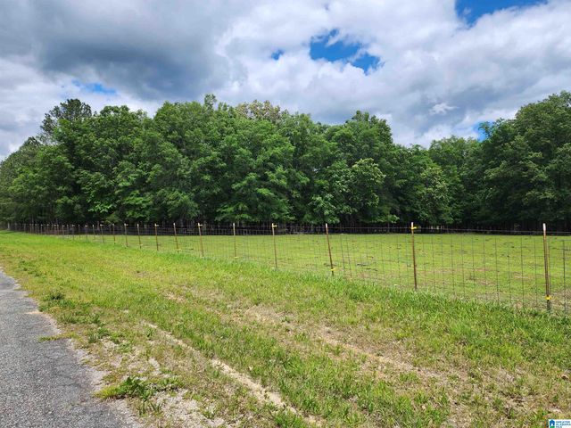 305 STOLLE FARM ROAD, Ashville, AL 35953