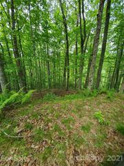 141 River Club Trail 8, Marshall, NC 28753