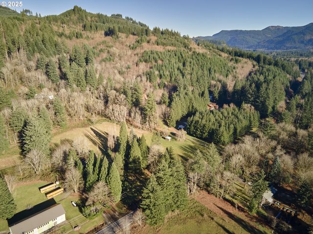 11846 LEWIS RIVER Rd, Ariel, WA 98603