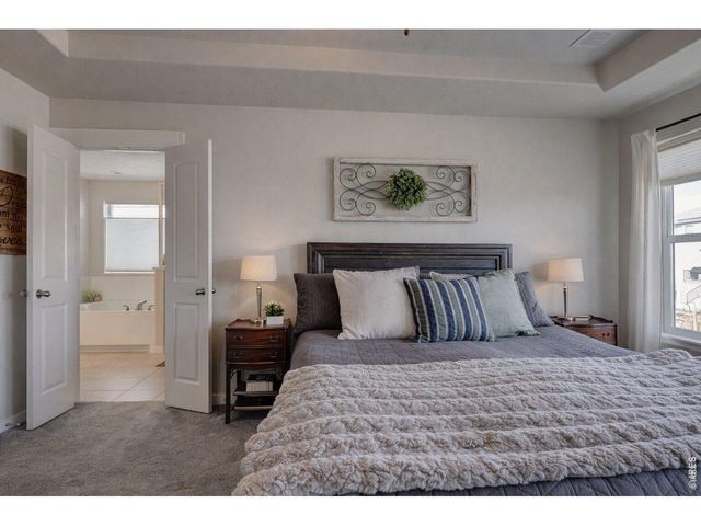 252 Mount Rainier St, Berthoud, CO 80513