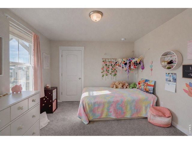 252 Mount Rainier St, Berthoud, CO 80513