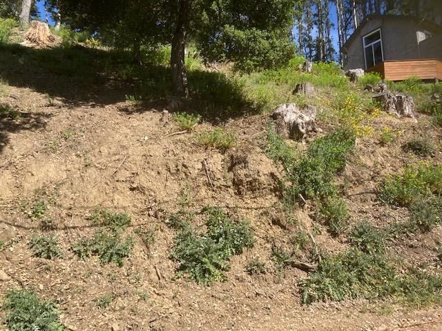 0000 Woodrow Drive, Oakland, CA 94611