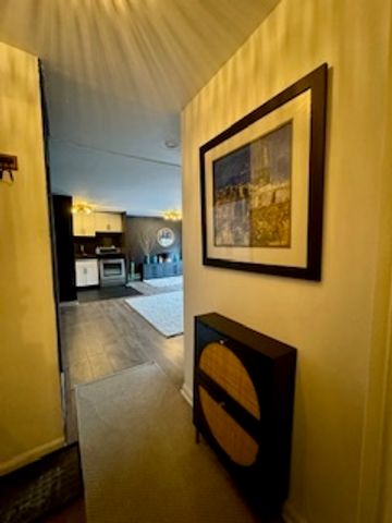 700 W Bittersweet Place 210, Chicago, IL 60613