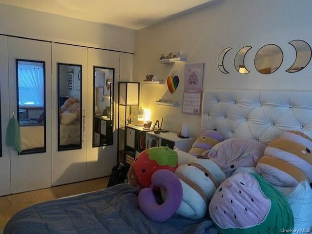 14 Alpine Drive E, Wappingers Falls, NY 12590