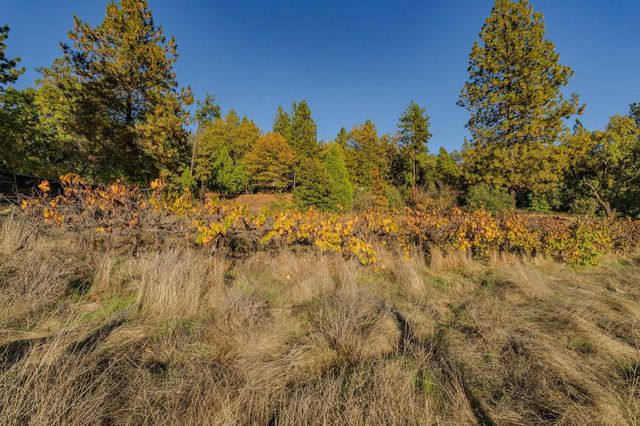 11509 Worden Rd, Mokelumne Hill, CA 95245