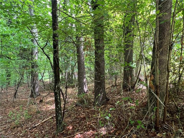 00 Cedar Trail 2.25 Ac, Mount Airy, NC 27030
