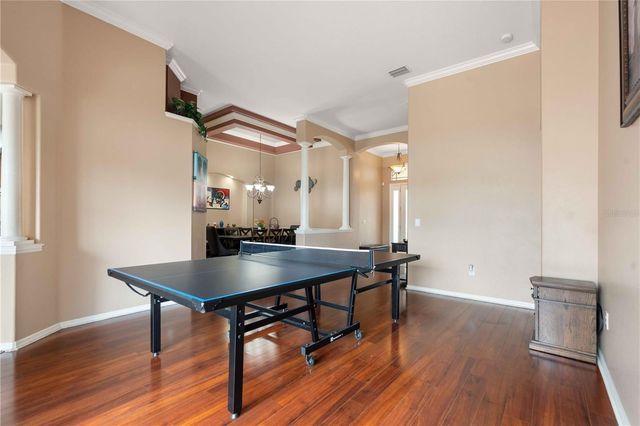 30406 COLEHAVEN COURT, Wesley Chapel, FL 33543
