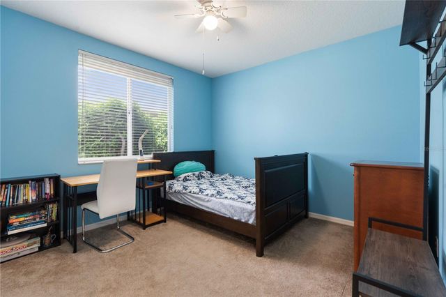 30406 COLEHAVEN COURT, Wesley Chapel, FL 33543