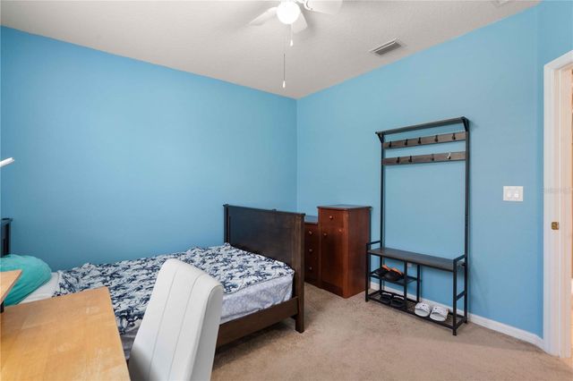 30406 COLEHAVEN COURT, Wesley Chapel, FL 33543