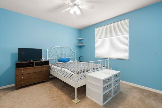 30406 COLEHAVEN COURT, Wesley Chapel, FL 33543