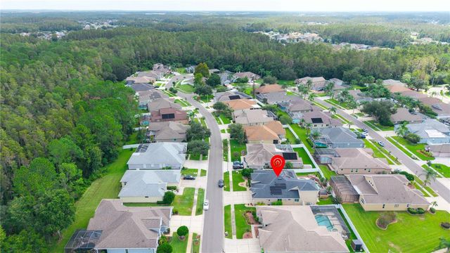 30406 COLEHAVEN COURT, Wesley Chapel, FL 33543