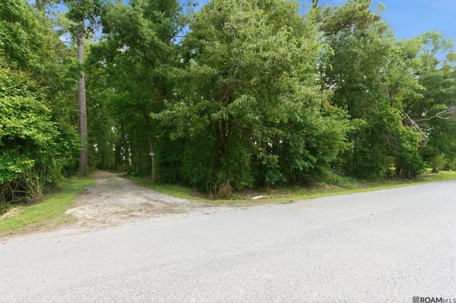 43148 Pine Lake Dr, Prairieville, LA 70769