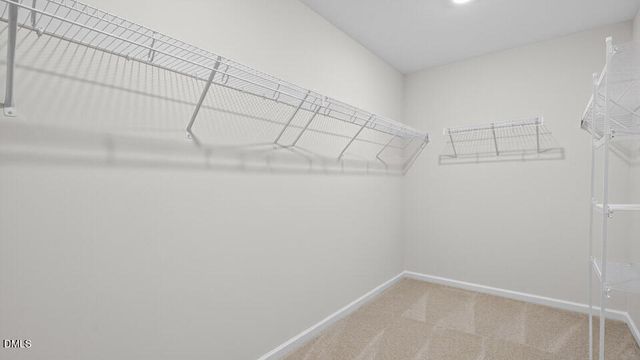 914 Sculptor Street, Wendell, NC 27591