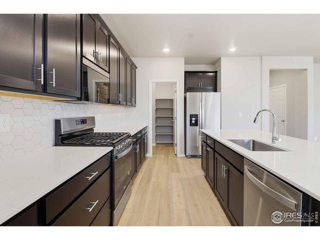 1629 Yampa River Dr, Windsor, CO 80550