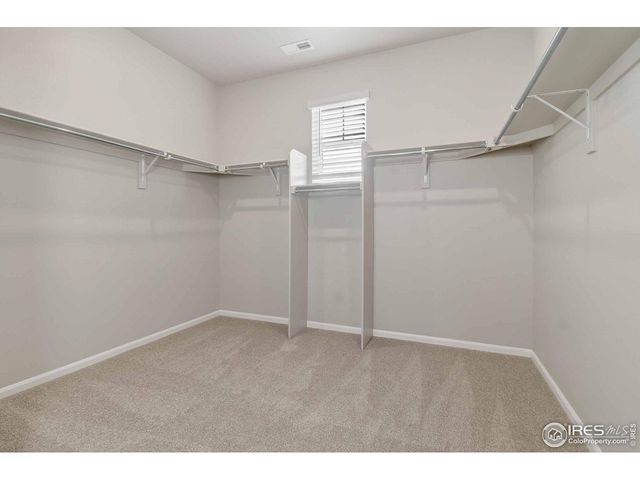 1629 Yampa River Dr, Windsor, CO 80550