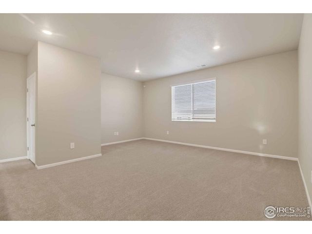 1629 Yampa River Dr, Windsor, CO 80550