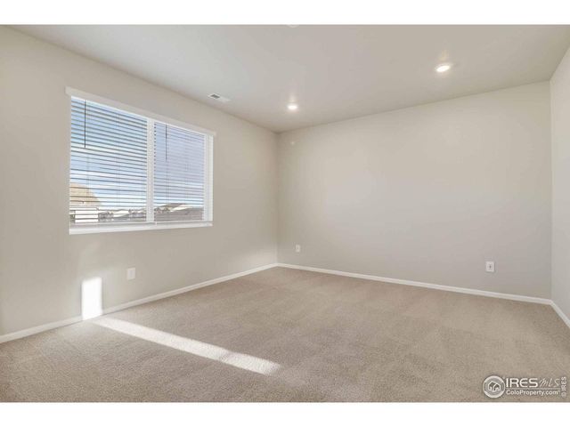 1629 Yampa River Dr, Windsor, CO 80550