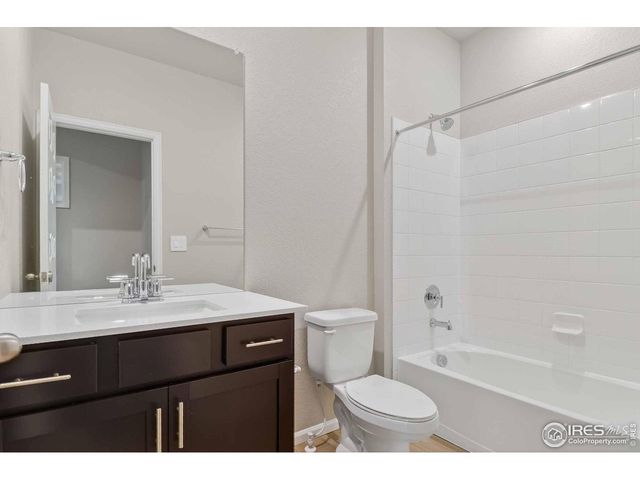 1629 Yampa River Dr, Windsor, CO 80550