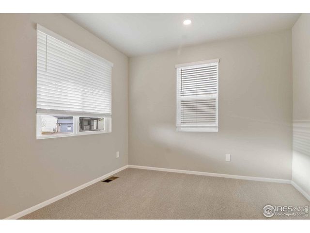 1629 Yampa River Dr, Windsor, CO 80550