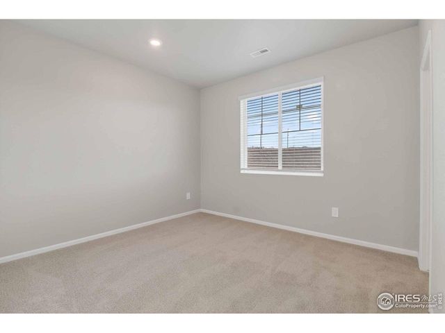 1629 Yampa River Dr, Windsor, CO 80550