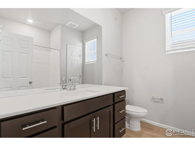 1629 Yampa River Dr, Windsor, CO 80550