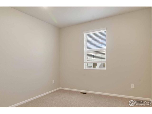 1629 Yampa River Dr, Windsor, CO 80550