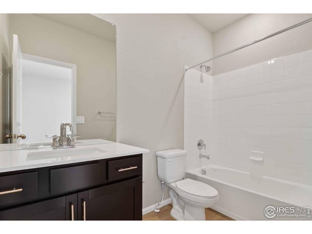 1629 Yampa River Dr, Windsor, CO 80550