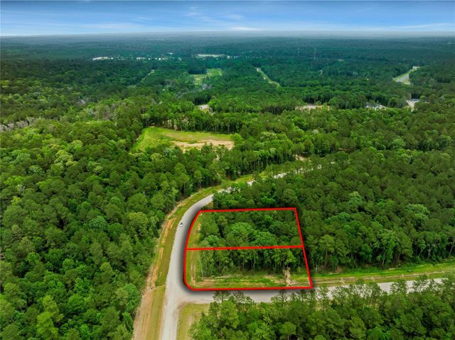 183 Rustic Ranch Drive, Huntsville, TX 77340