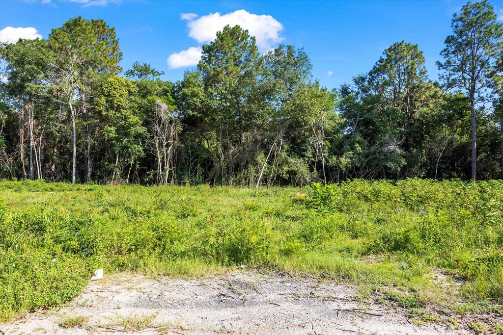 000 Walker Avenue, New Ellenton, SC 29809