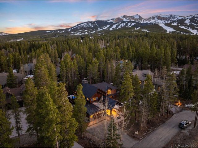 115 Willow Ln, Breckenridge, CO 80424
