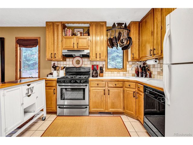 389 Peterson Dr, Alma, CO 80420