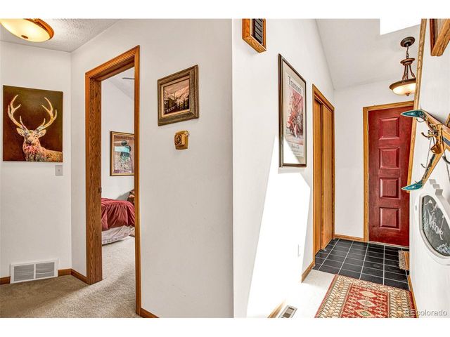 389 Peterson Dr, Alma, CO 80420