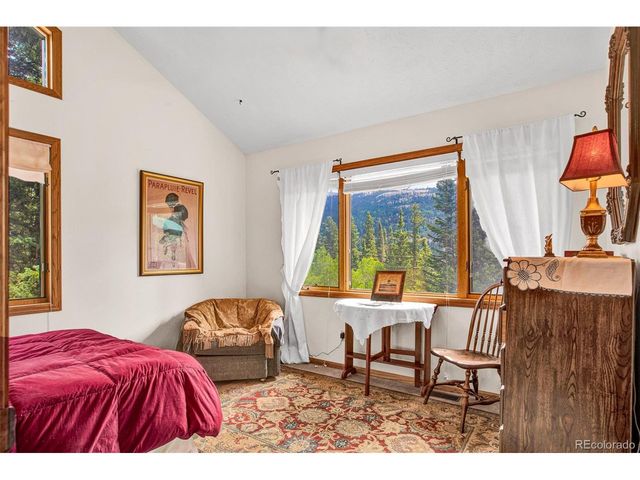 389 Peterson Dr, Alma, CO 80420