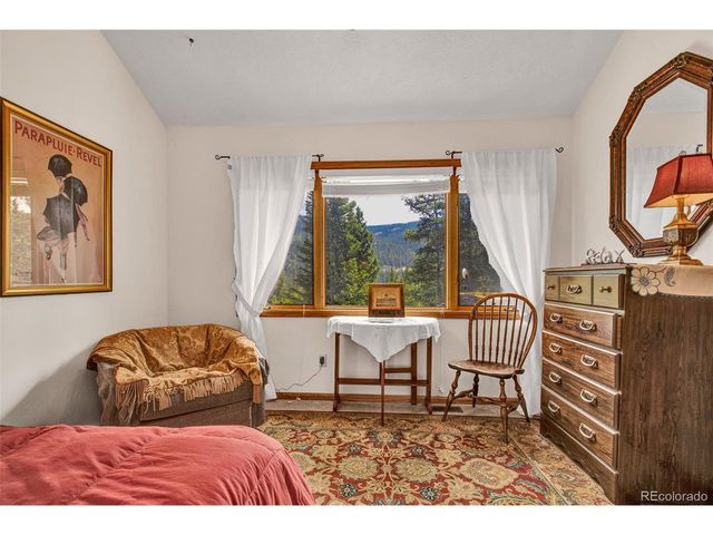 389 Peterson Dr, Alma, CO 80420