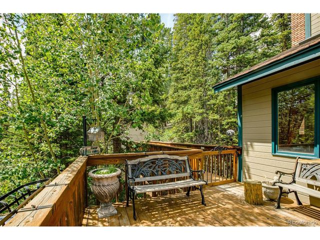 389 Peterson Dr, Alma, CO 80420