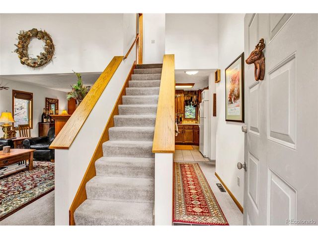 389 Peterson Dr, Alma, CO 80420