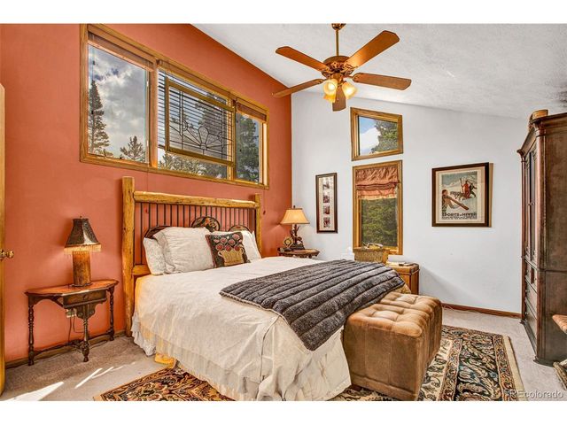 389 Peterson Dr, Alma, CO 80420