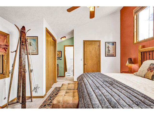 389 Peterson Dr, Alma, CO 80420