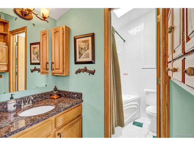 389 Peterson Dr, Alma, CO 80420