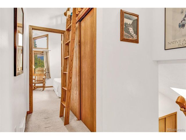 389 Peterson Dr, Alma, CO 80420