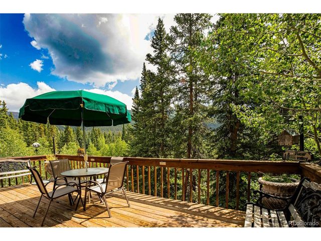 389 Peterson Dr, Alma, CO 80420