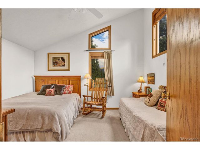 389 Peterson Dr, Alma, CO 80420