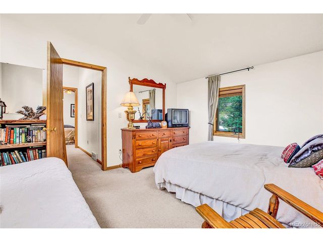 389 Peterson Dr, Alma, CO 80420